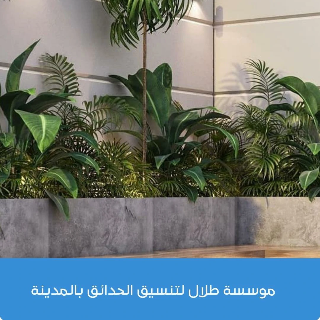 تكلفة تنسيق حدائق