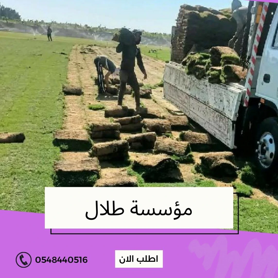 شركة انشاء وتصميم ملاعب