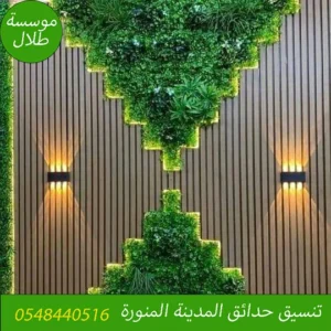 استغلال السطح حديقة