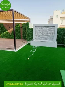 استغلال السطح حديقة